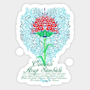 Osmanlı Arap Sümbülü Sticker